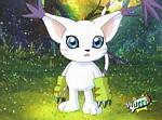 gato2.jpg