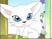 gatomon3.jpg