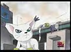 gatomon54.jpg