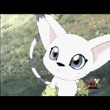 gatomon8.gif