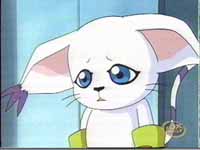 gatomon_7.jpg
