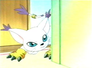 gatomong.jpg