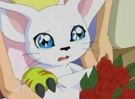 tumblr_lghm3pETb51qci12wo1_500.jpg