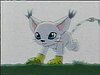gato1.jpg