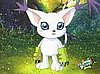 gato2.jpg