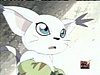 gato3.jpg