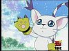 gatomon1.jpg