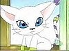 gatomon3.jpg