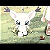 gatomon3.gif