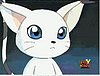 gatomon67.gif