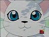 gatomon7.jpg
