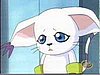 gatomon_7.jpg