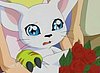 tumblr_lghm3pETb51qci12wo1_500.jpg